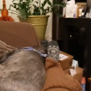 Meet your Posher, Rhonda